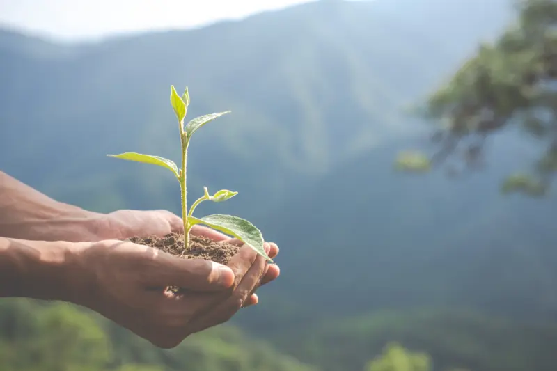 How Sustainable Waste Practices Benefit Businesses